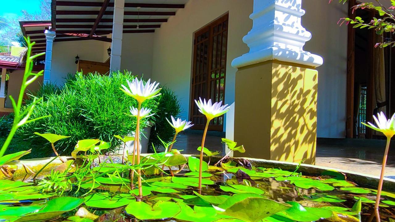 דמבולה Greenville Resort And Spa מראה חיצוני תמונה